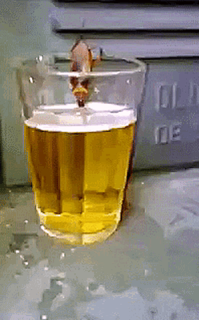 Beer Cockroach GIF - Beer Cockroach Drunk GIFs
