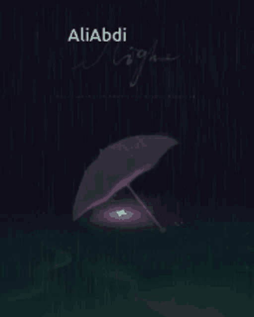 a purple umbrella in the rain with the name aliabdi on the bottom
