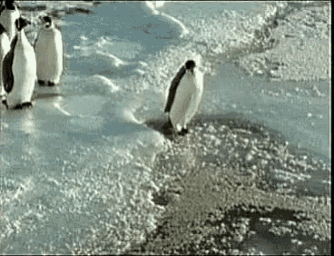 Penguin Walk GIF - Penguin Walk Draw GIFs
