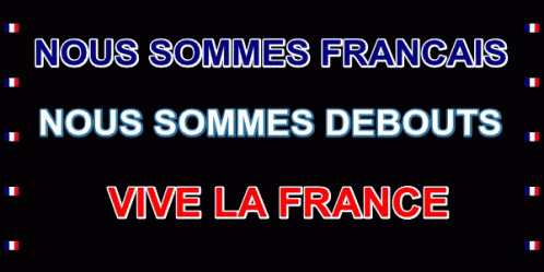 Vive La France GIF - Vive La France République Française Patriote GIFs