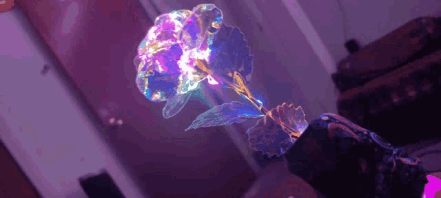 a person is holding a rainbow colored rose in their hand