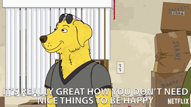 Its Really Great You Dont Need Nice Things To Be Happy GIF - Its Really Great You Dont Need Nice Things To Be Happy Thats Great GIFs