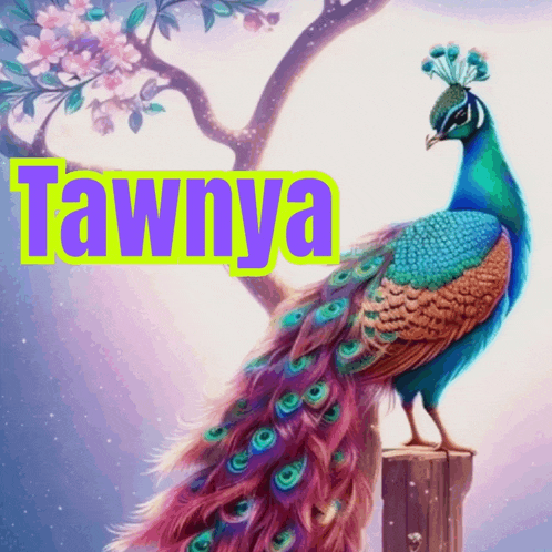 a painting of a peacock with the name tawnya written above it