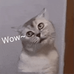 a cat with a surprised look on its face is standing next to a wall and says wow .