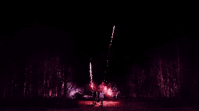 a group of people watching fireworks in the dark