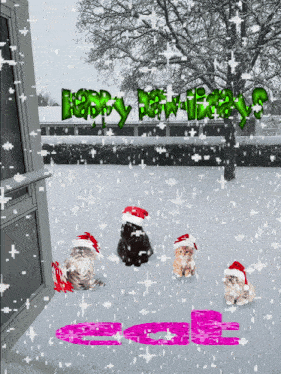 a christmas card with three cats wearing santa hats and the phrase happy paw-days