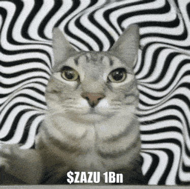 a cat with an optical illusion behind it that says $razu 1bn on it