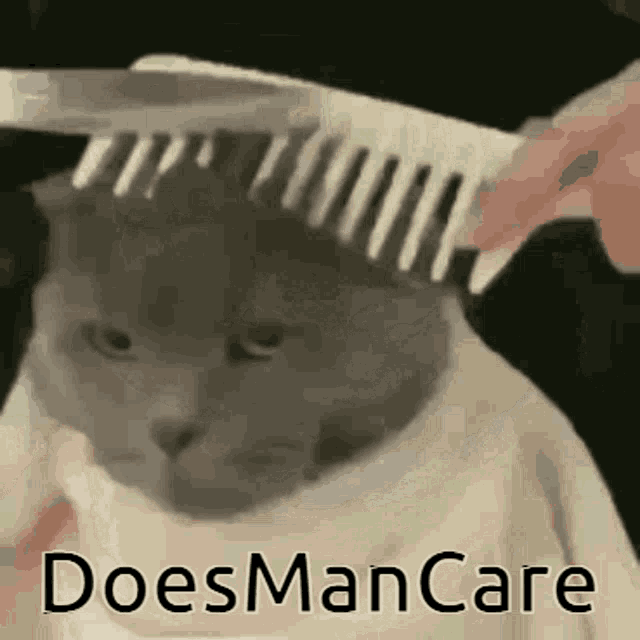 Does Man Care Dmc GIF - Does Man Care Dmc GIFs
