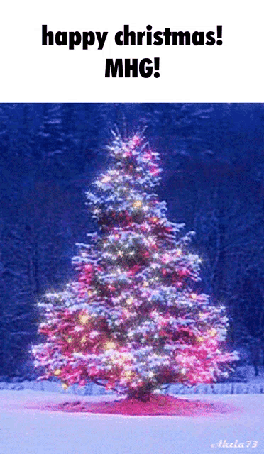 a picture of a christmas tree with the caption happy christmas
