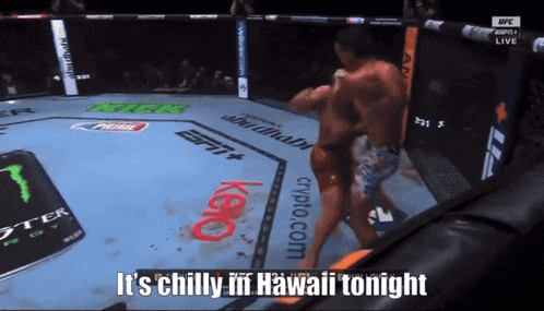 a boxing ring with the words it 's chilly in hawaii tonight at the bottom