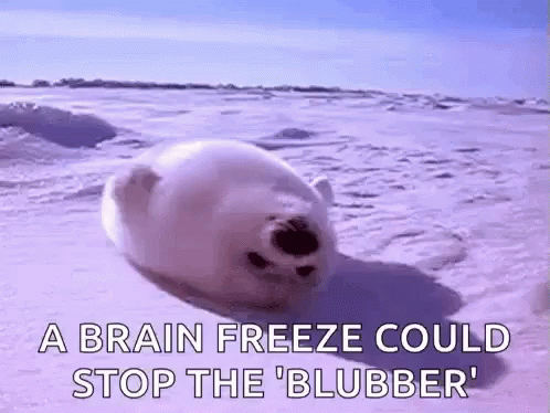 Lazy Seal GIF - Lazy Seal Brain Freeze GIFs