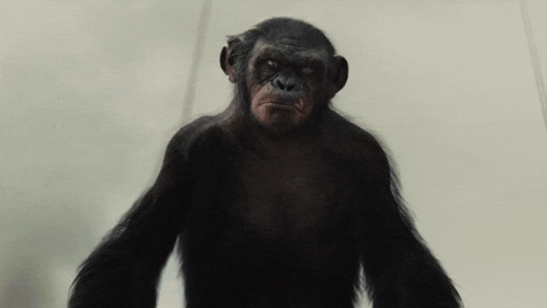 Planet Of The Apes Koba GIF - Planet Of The Apes Koba GIFs