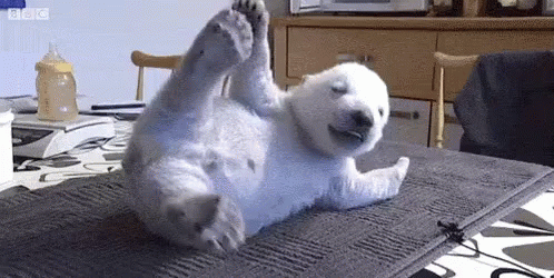 Life Is Hard GIF - Polarbear Polarbearcute Cute GIFs