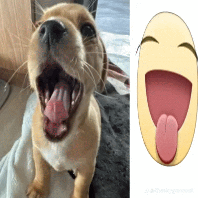 a picture of a dog with its tongue out next to a picture of a laughing face