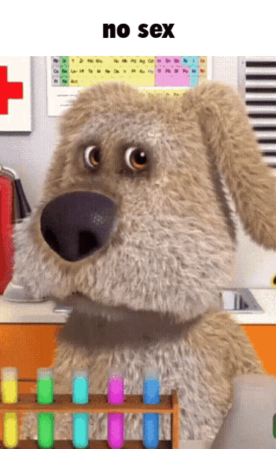 a stuffed dog is standing next to a rack of test tubes with the words no sex above it