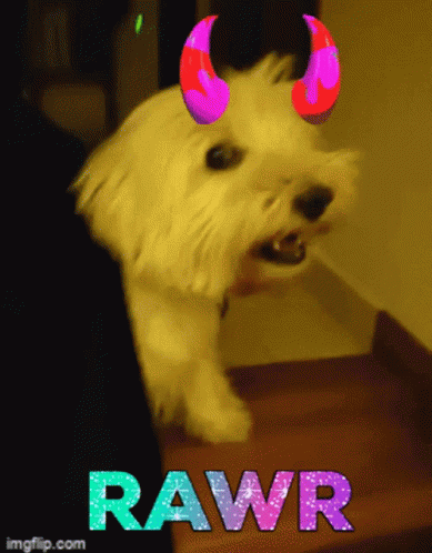 Ricowestie Devil Dog GIF - Ricowestie Rico Devil Dog GIFs
