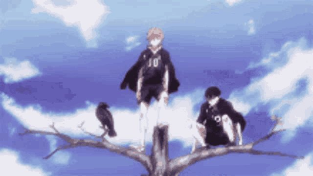 a person with the number 10 on their shirt stands on a tree branch