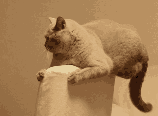 a cat laying on a white pillow with its paws on the back