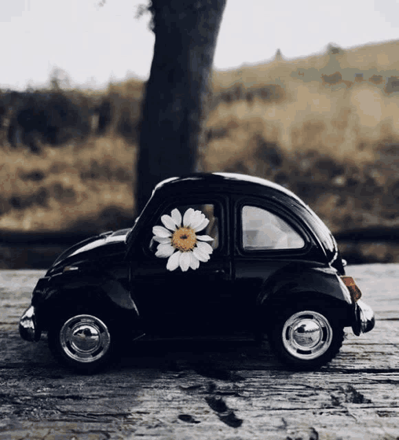 a black toy car with a white daisy on the side