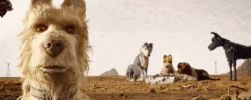 Isle Of Dogs / Wes Anderson / Cães  / Não Vou Aguentar / Trailer GIF - Isle Of Dogs Isle Of Dogs Brasil Wes Anderson GIFs