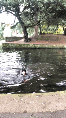 a person swimming in a lake with a tree in the background