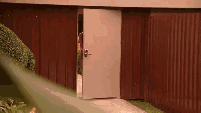 a person is standing in the doorway of a house with a door open .