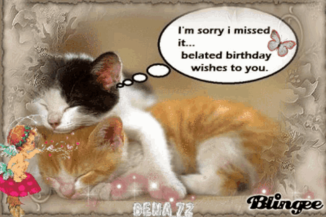a picture of two cats with a thought bubble that says i 'm sorry i missed it