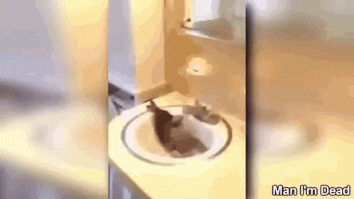 a cat is sitting in a sink in a bathroom with the words `` man i 'm dead '' written on the bottom .