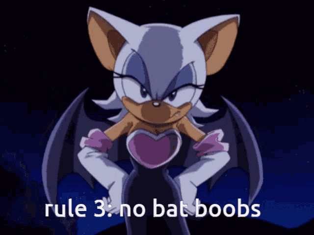 a picture of a bat with the words rule 3 no bat boobs