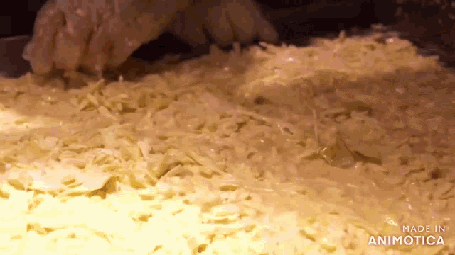 a pile of shredded cheese is being made in an animatica video