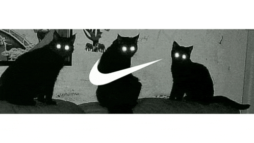 three black cats with bright eyes are sitting next to each other on a bed in front of a nike logo .