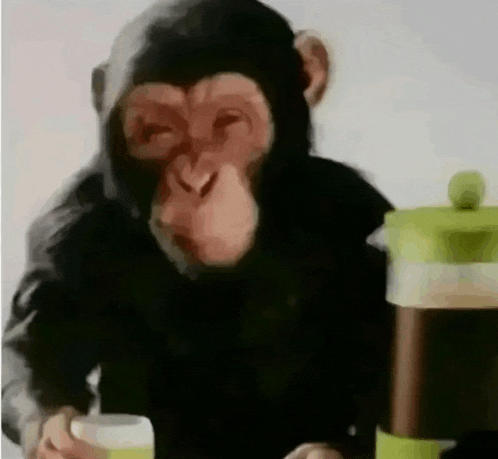 a chimpanzee is sitting at a table drinking coffee .