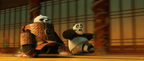 Yay GIF - Kung Fu Panda Ride Sled GIFs
