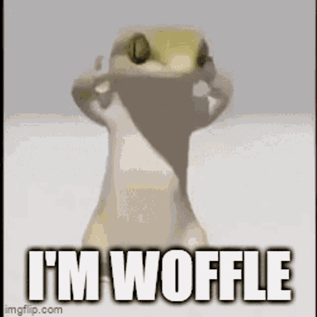 Im Woffle GIF - Im Woffle GIFs