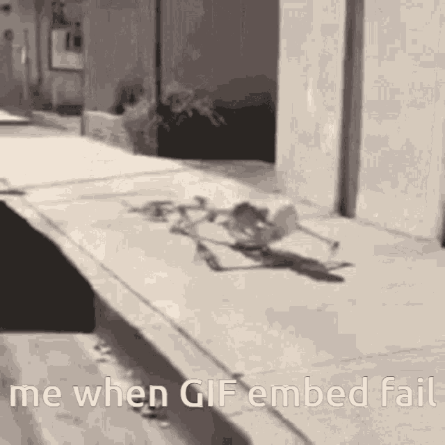 Embed Fail Embed Fail Gif GIF - Embed Fail Embed Fail Gif GIFs