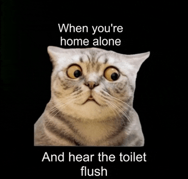 a picture of a cat with the words " when you 're home alone and hear the toilet flush "