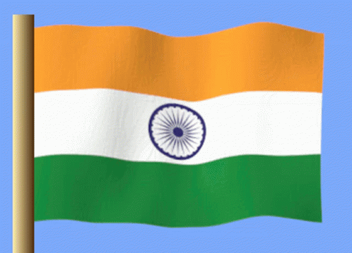 Hindistan India GIF - Hindistan India India Flag GIFs