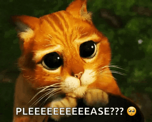 a cat with a sad look on its face and the words pleeeeeeeease