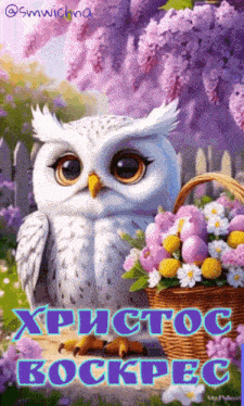 a picture of an owl with a basket of flowers and the words xpictoc bockpec