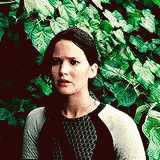 Katniss Everdeen GIF - Katniss Everdeen Thehungergames GIFs