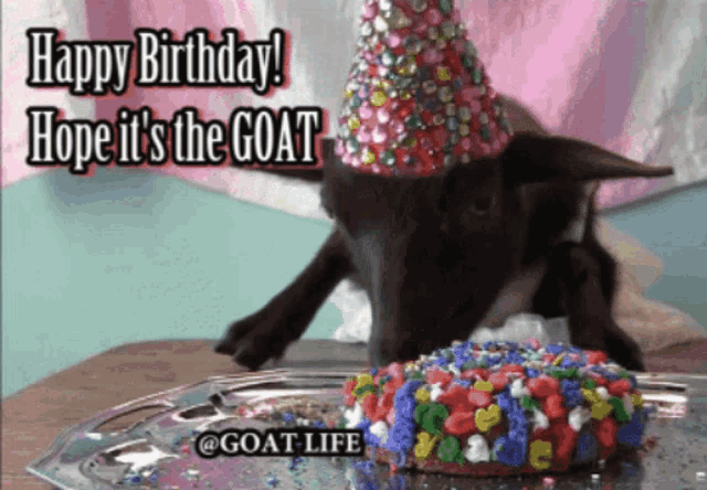 Happy Birthday Goats GIF - Happy Birthday Goats Goat GIFs