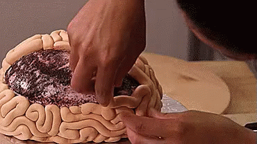 脳みそ　brain GIF - Brain Cake GIFs