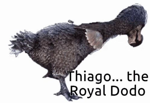 Dodo Thiago GIF - Dodo Thiago Roya Dodo GIFs