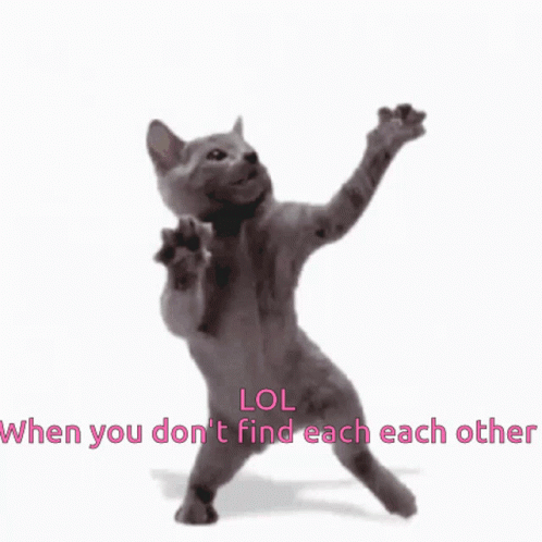 Cat Dansar GIF - Cat Dansar Lol GIFs