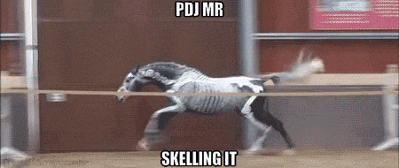 a skeleton horse is running in a fenced in area with a caption that says pdj mr skelling it