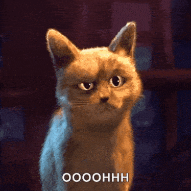 a cat with a serious look on its face and the word ooohh written below it