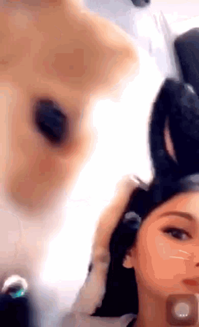 Nadine Lustre Dogs GIF - Nadine Lustre Dogs Kisses GIFs
