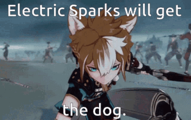 a video game character with a cat ears and a sword says electric sparks will get the dog