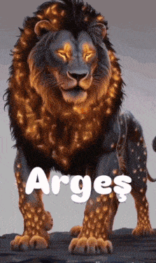 a painting of a lion with the name argos on the bottom
