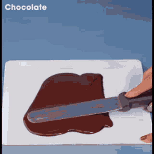 a spatula is being used to spread chocolate on a white plate